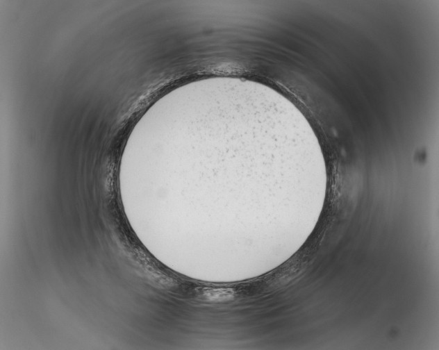 X0000115000355200912071145