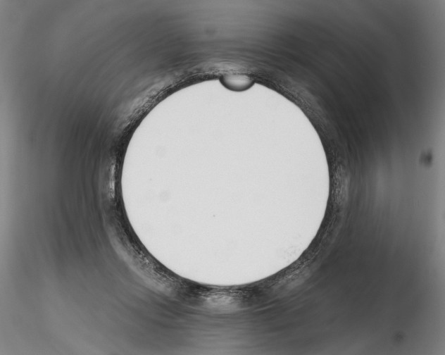 X0000115000358200912071145