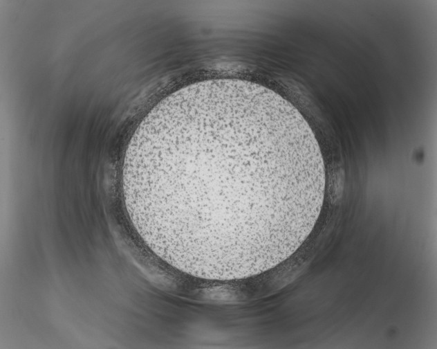 X0000115000365200912071145