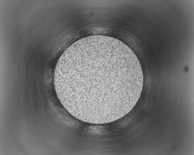 X0000115000367200912071145