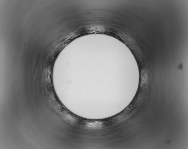 X0000115000369200912071146