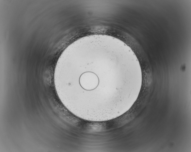 X0000115000370200912071146