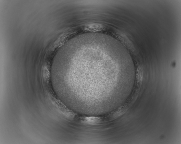 X0000115000371200912071146