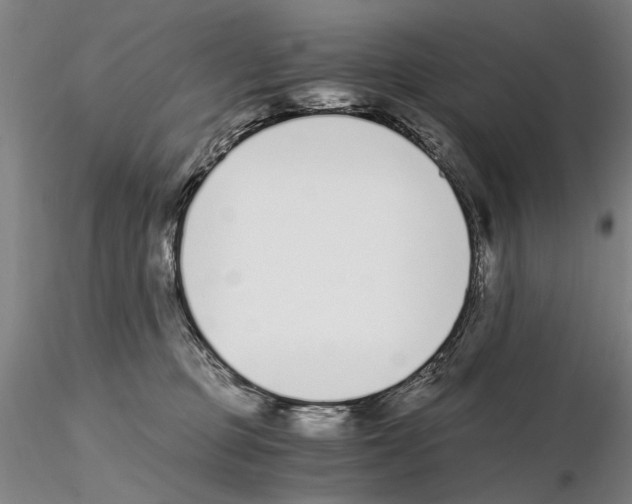 X0000115000373200912071146