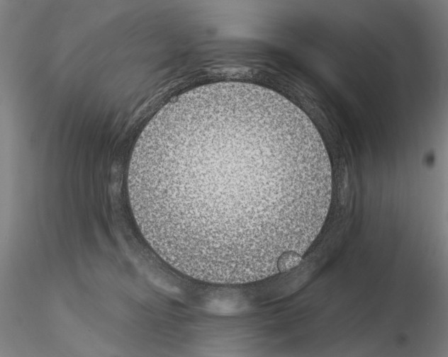 X0000115000374200912071146