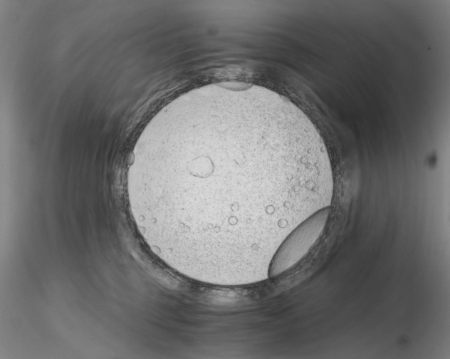 X0000115000375200912071146