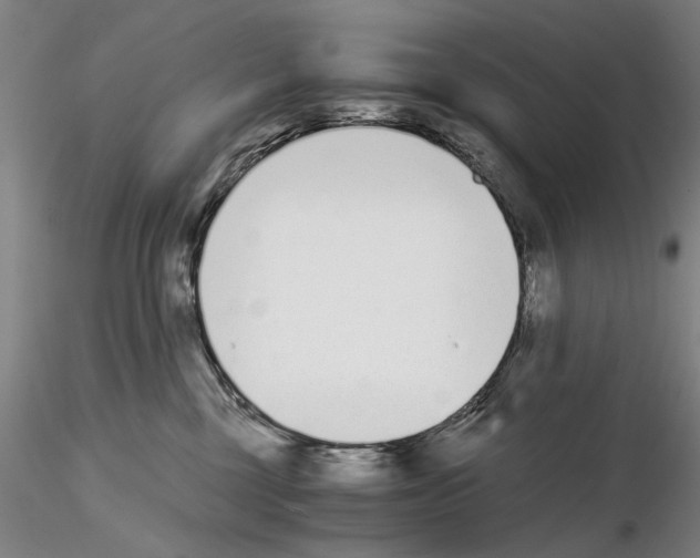 X0000115000377200912071146