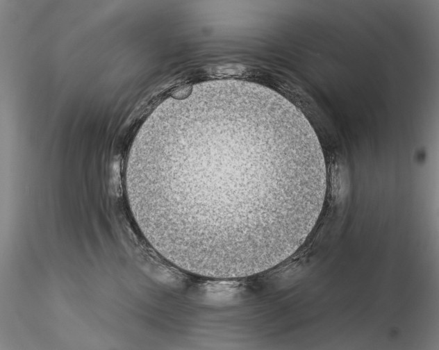 X0000115000378200912071146