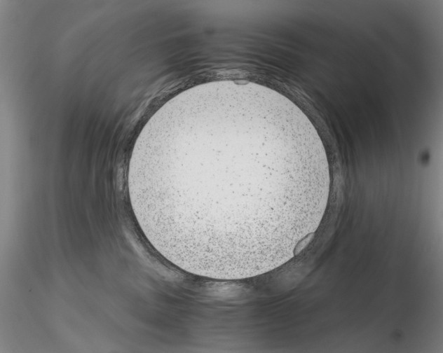 X0000115000379200912071146