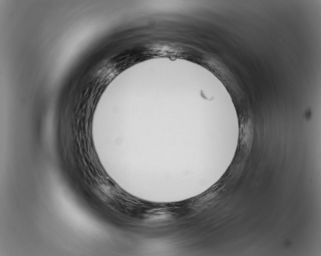 X0000115000381200912071146