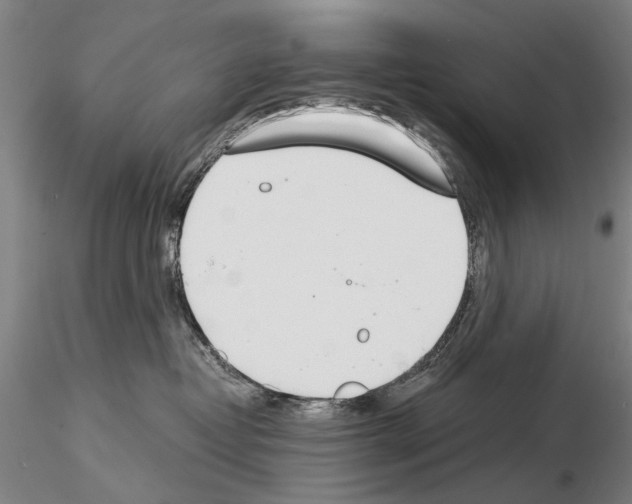 X0000115000382200912071146