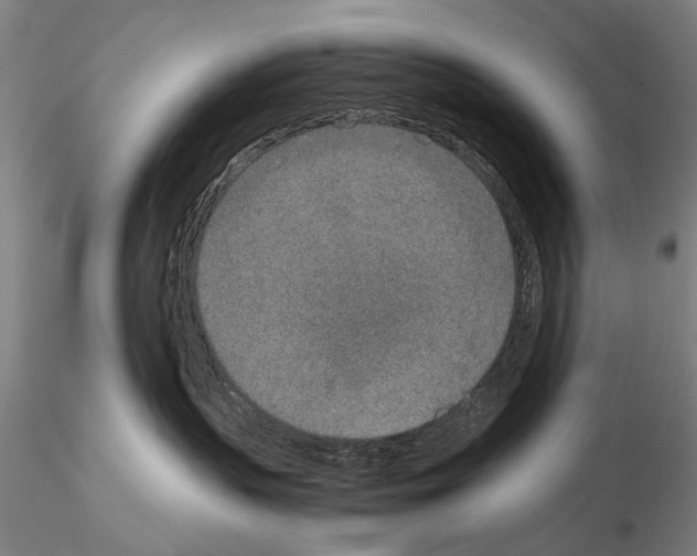 X0000115000383200912071146