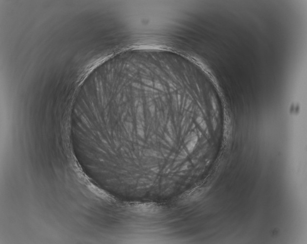 X0000115000385200912071145