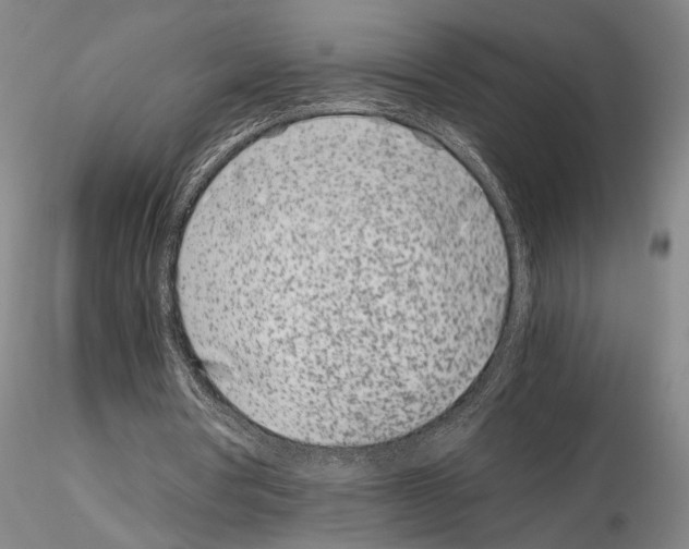 X0000115000386200912071145