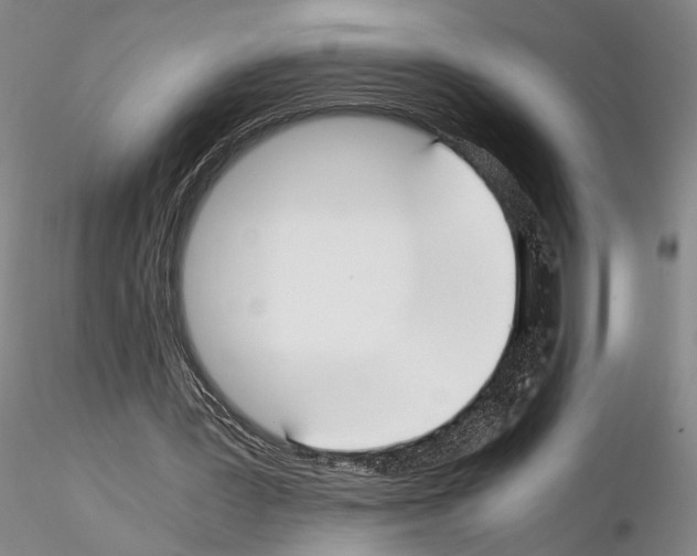 X0000115000387200912071145