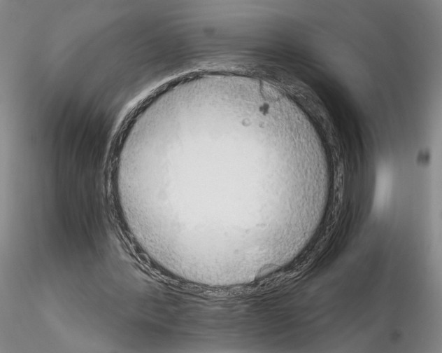 X0000115000388200912071145