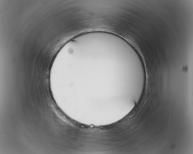 X0000115000389200912071145