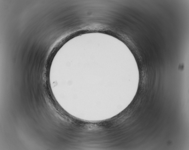 X0000115000392200912071145