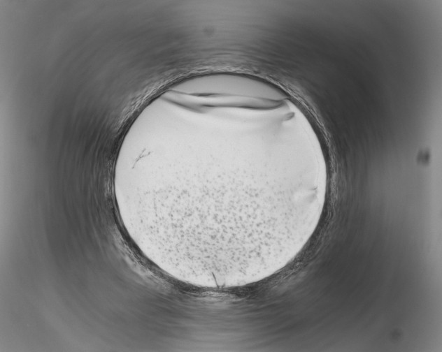 X0000115000393200912071145