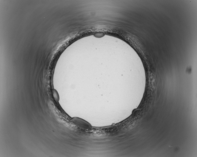 X0000115000395200912071145