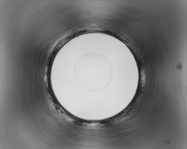 X0000115000396200912071145