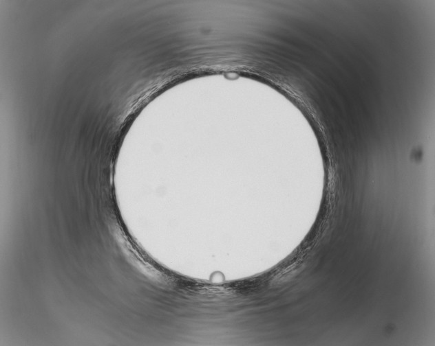 X0000115000397200912071145