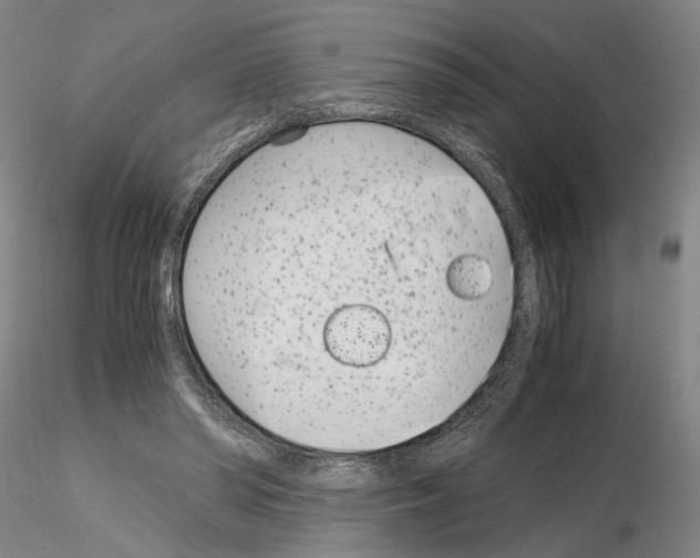 X0000115000398200912071145