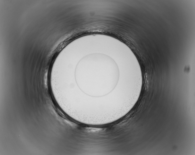 X0000115000400200912071144