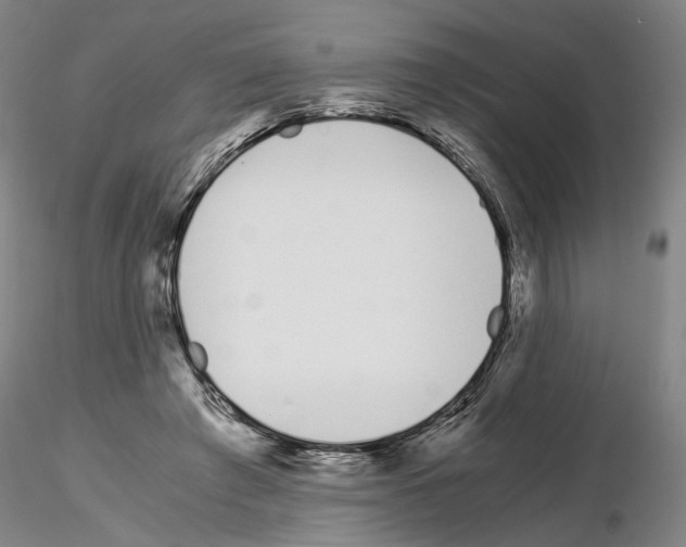 X0000115000401200912071144