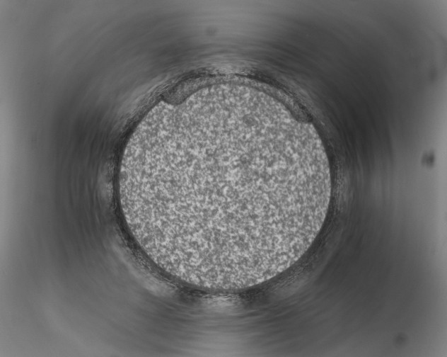 X0000115000402200912071144