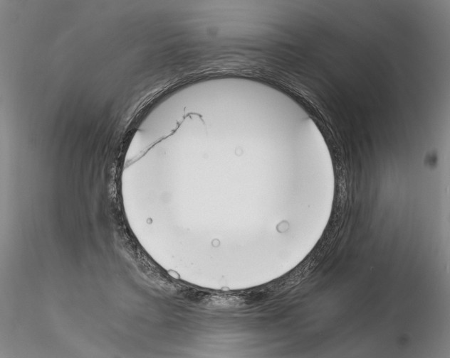 X0000115000403200912071144