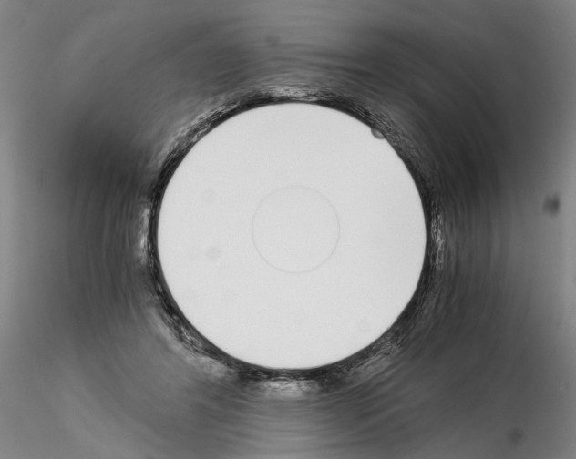 X0000115000404200912071144