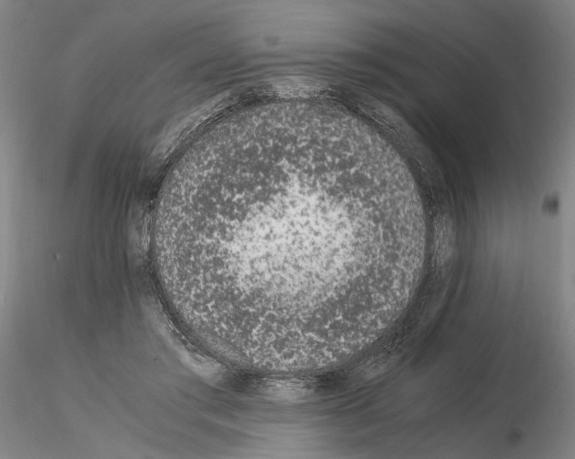 X0000115000405200912071144