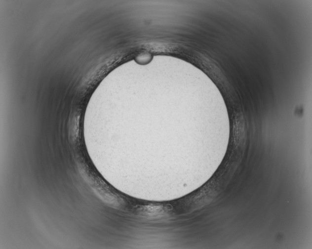 X0000115000406200912071144