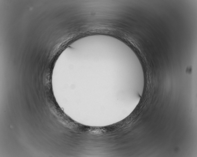 X0000115000407200912071144