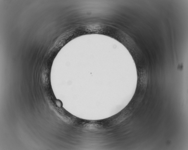 X0000115000408200912071144