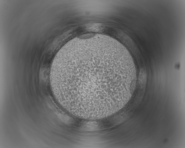 X0000115000409200912071144