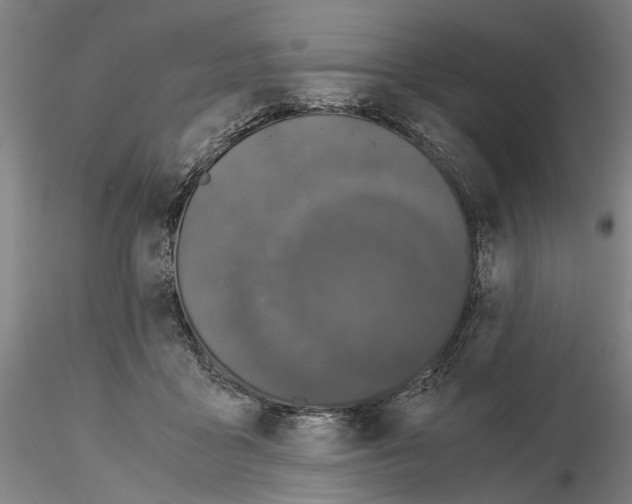 X0000115000411200912071144