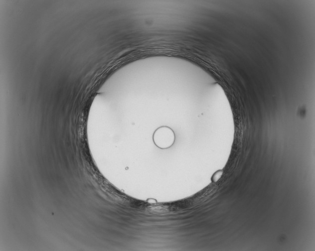 X0000115000413200912071144