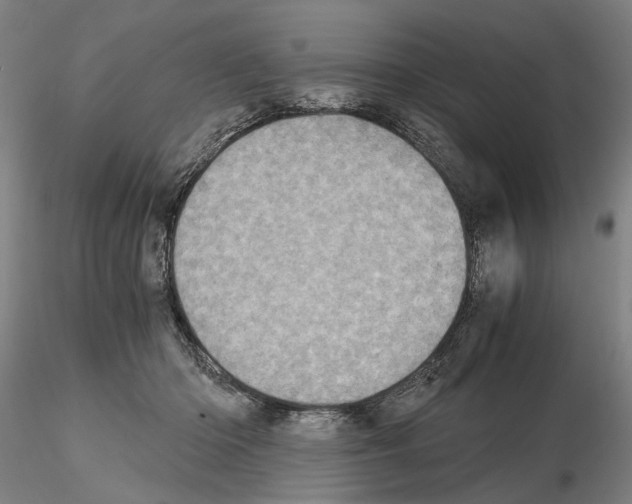 X0000115000414200912071144