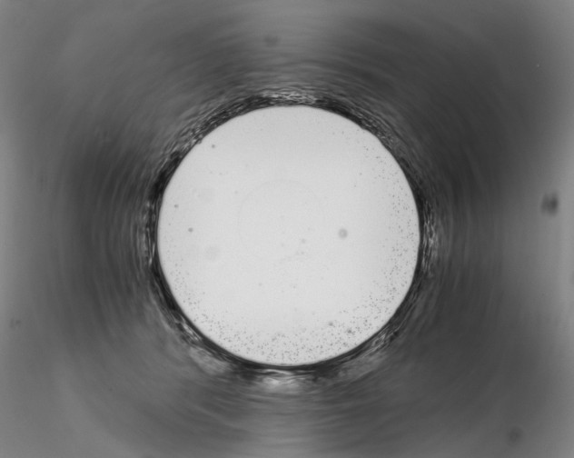 X0000115000416200912071144