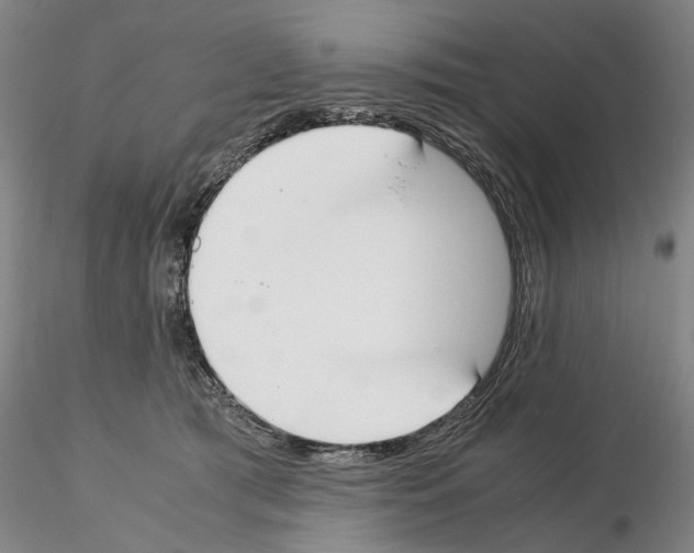 X0000115000417200912071144