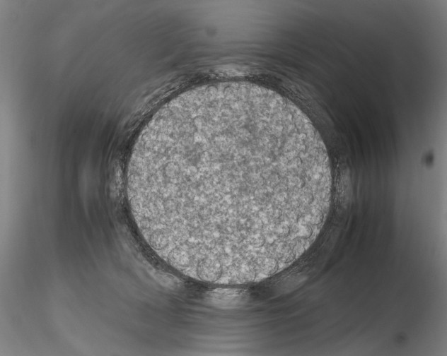 X0000115000418200912071144