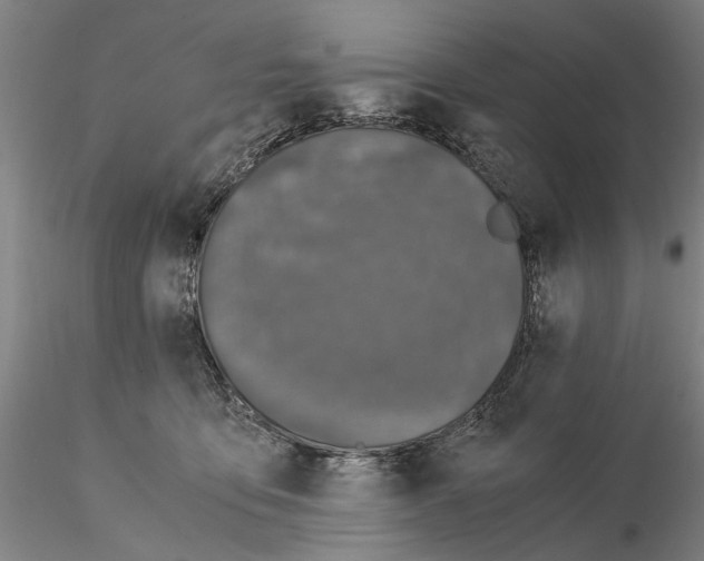 X0000115000419200912071144