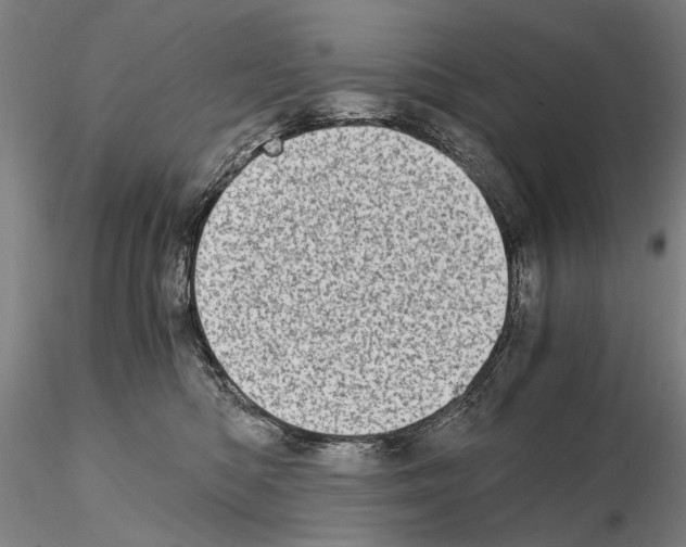 X0000115000422200912071144