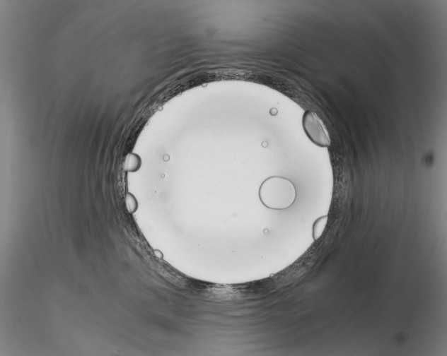 X0000115000425200912071144