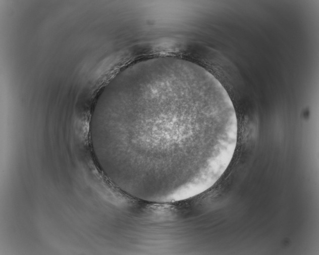 X0000115000427200912071144