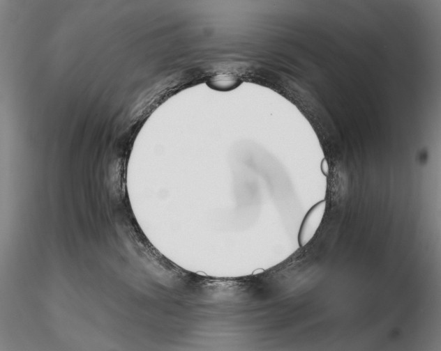 X0000115000428200912071144