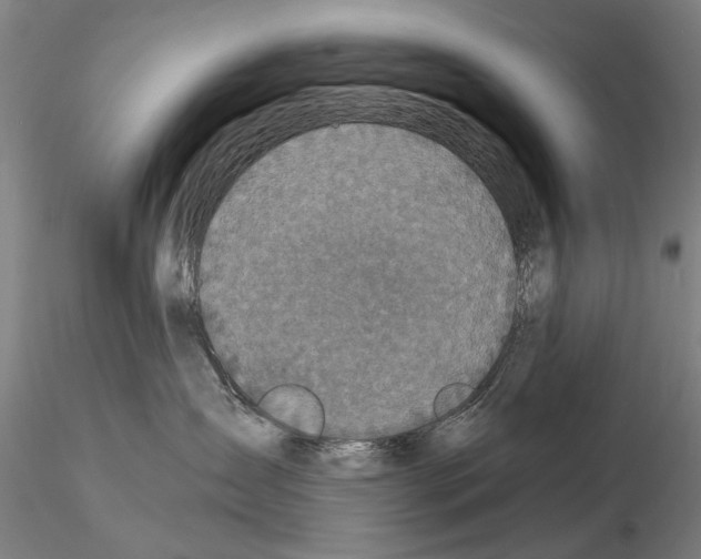 X0000115000431200912071144