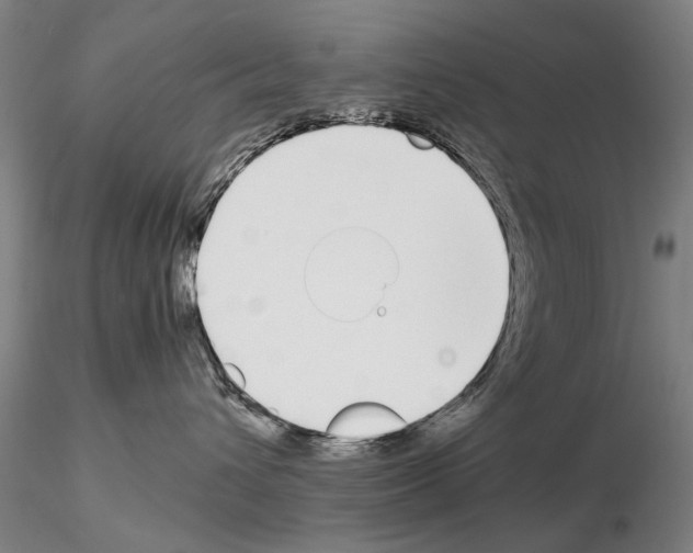 X0000115000432200912071144